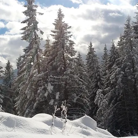 Hotel Und Kirchberger 3*
